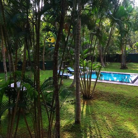 Chandra Villa Ayurveda Resort Бентота Екстериор снимка